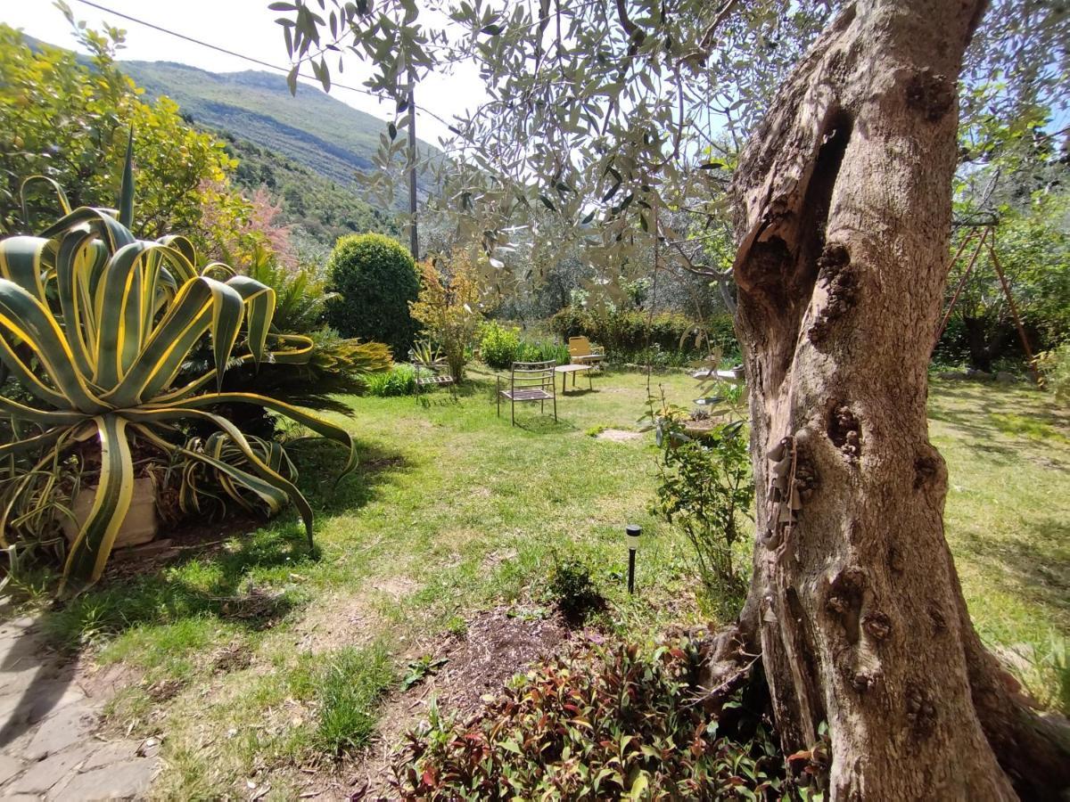 Casa Di Nin Apartment Torbole Sul Garda Luaran gambar