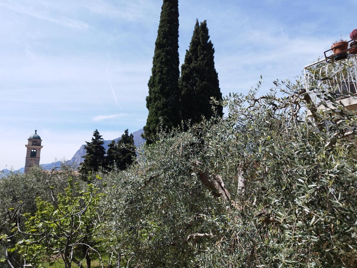 Casa Di Nin Apartment Torbole Sul Garda Luaran gambar