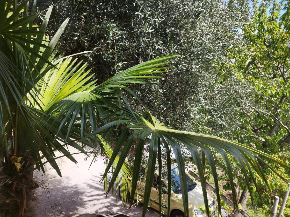 Casa Di Nin Apartment Torbole Sul Garda Luaran gambar